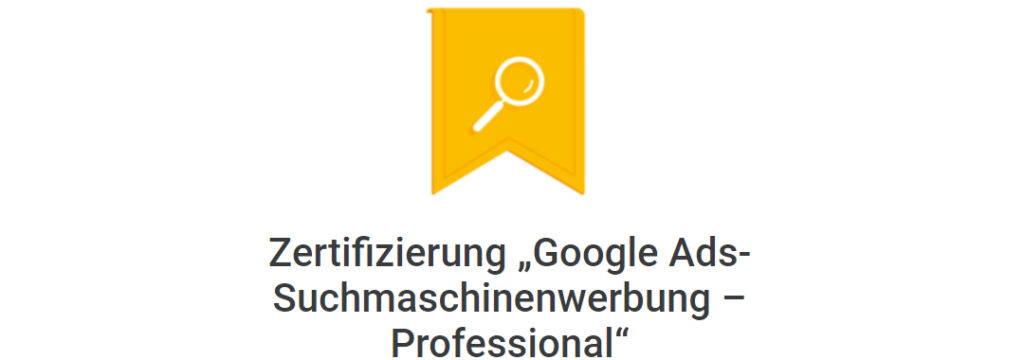 Zertifizierung „Google Ads-Suchmaschinenwerbung – Professional“